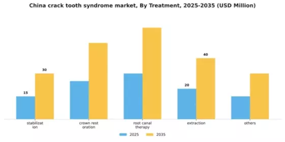 China Crack Tooth Syndrome Market Segment Image 3