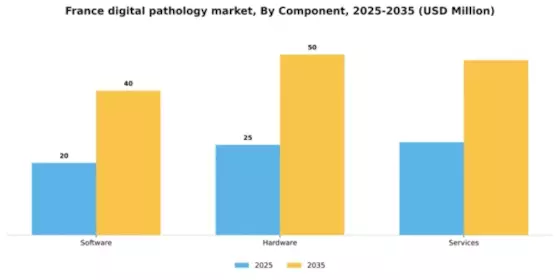 France Digital Pathology Market Segment Image 1