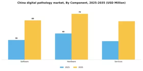 China Digital Pathology Market Segment Image 1