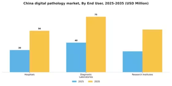 China Digital Pathology Market Segment Image 2