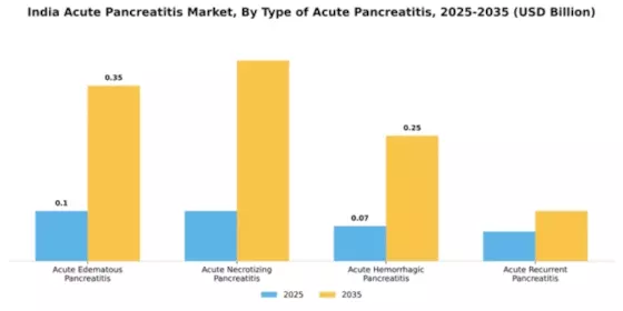 India Acute Pancreatitis Market Segment Image 3