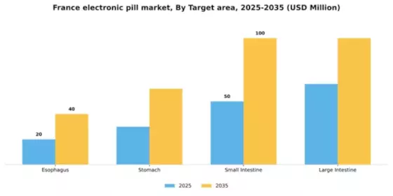 France Electronic Pill Market Segment Image 3