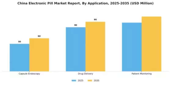 China Electronic Pill Market Segment Image 0