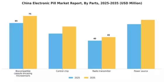 China Electronic Pill Market Segment Image 2