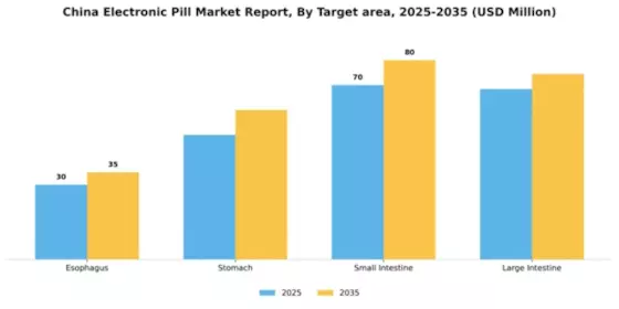 China Electronic Pill Market Segment Image 3