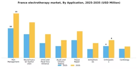 France Electrotherapy Market Segment Image 0