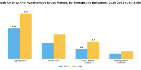 South America Anti Hypertensive Drugs Market Segment Image 3