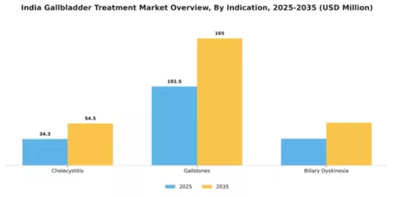 India Gallbladder Treatment Market Segment Image 1