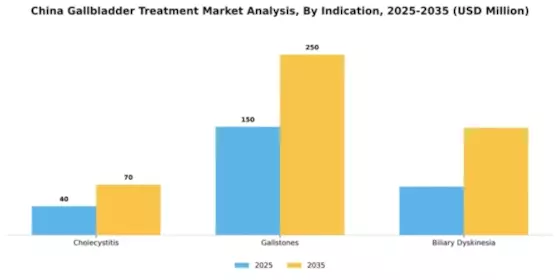 China Gallbladder Treatment Market Segment Image 1