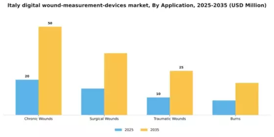 Italy Digital Wound Measurement Devices Market Segment Image 0