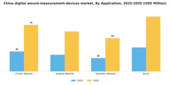 China Digital Wound Measurement Devices Market Segment Image 0