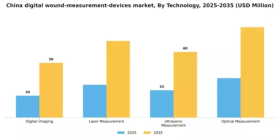 China Digital Wound Measurement Devices Market Segment Image 3