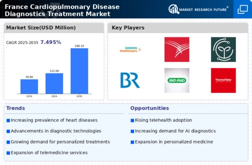 France Cardiopulmonary Disease Diagnostics Treatment Market Infographic