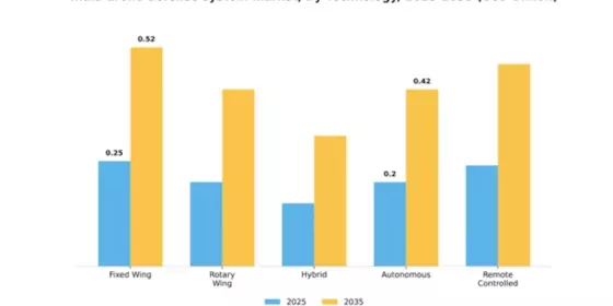 India Drone Defense System Market Segment Image 3