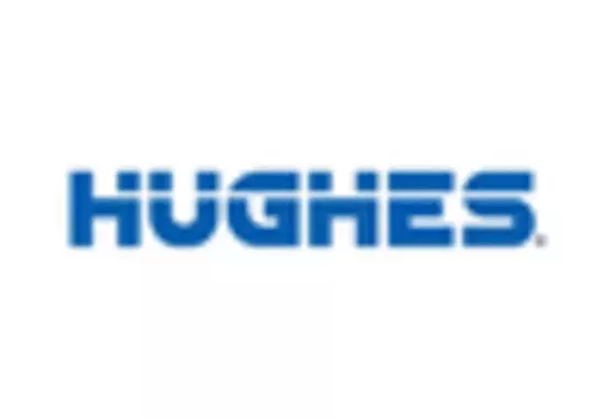 India LEO Satellite Market key player