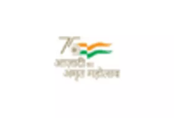 India LEO Satellite Market key player