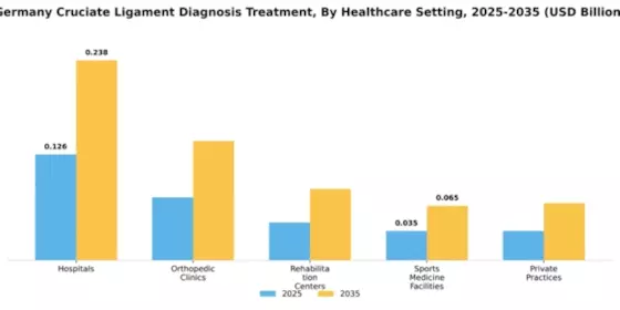 Germany Cruciate Ligament Diagnosis Treatment Market Segment Image 1
