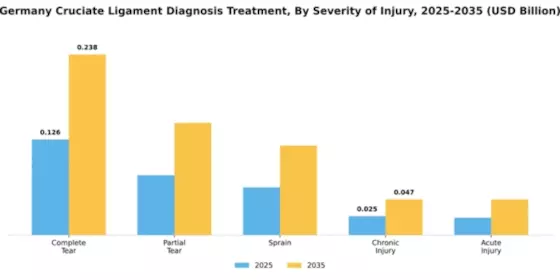 Germany Cruciate Ligament Diagnosis Treatment Market Segment Image 3