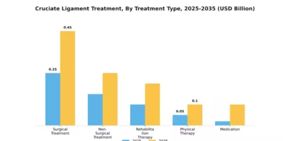 South America Cruciate Ligament Diagnosis Treatment Market Segment Image 3