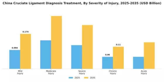 China Cruciate Ligament Diagnosis Treatment Market Segment Image 2