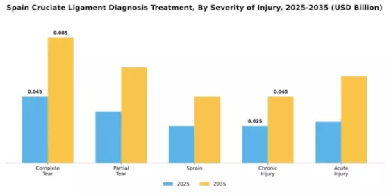 Spain Cruciate Ligament Diagnosis Treatment Market Segment Image 2