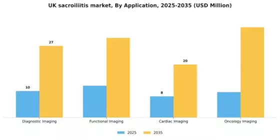 UK Sacroiliitis Market Segment Image 0