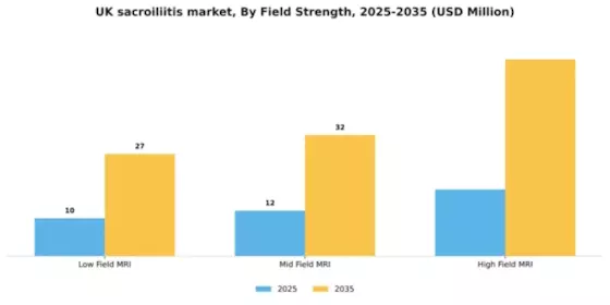 UK Sacroiliitis Market Segment Image 2
