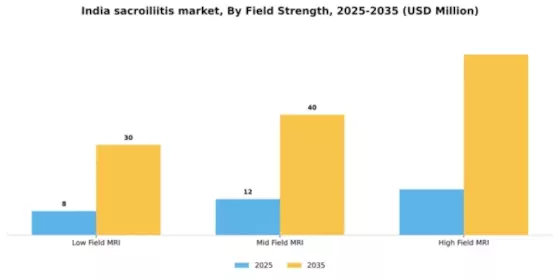India Sacroiliitis Market Segment Image 2