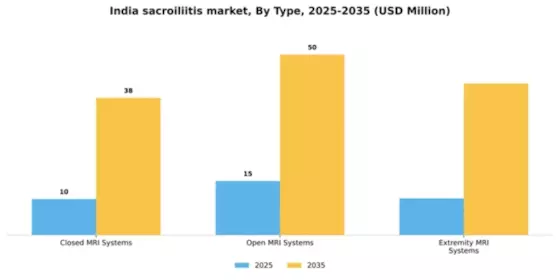India Sacroiliitis Market Segment Image 3