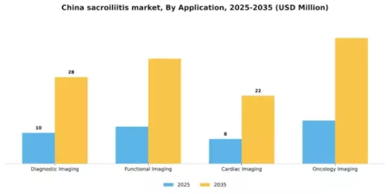 China Sacroiliitis Market Segment Image 0