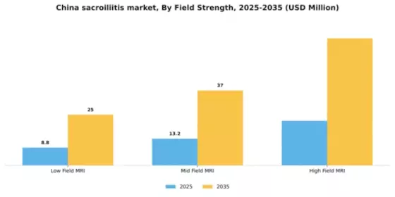 China Sacroiliitis Market Segment Image 2