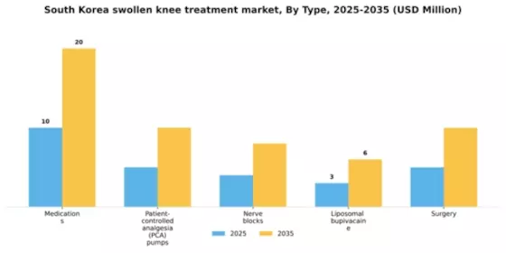 South Korea Swollen Knee Treatment Market Segment Image 1
