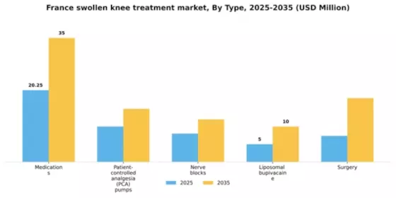 France Swollen Knee Treatment Market Segment Image 1