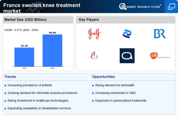 France Swollen Knee Treatment Market Infographic