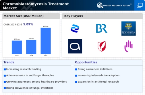 Chromoblastomycosis Treatment Market Infographic