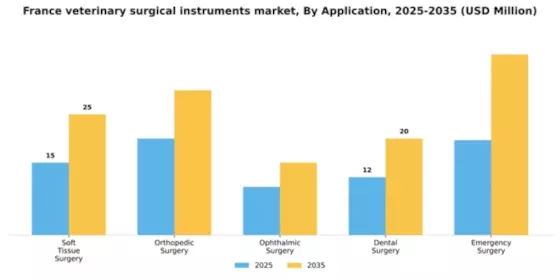 France Veterinary Surgical Instruments Market Segment Image 0