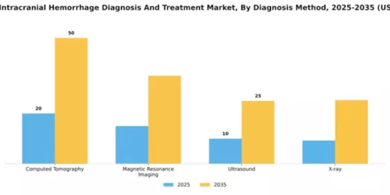 Germany Intracranial Hemmorhage Diagnosis Treatment Market Segment Image 0