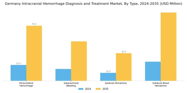 Germany Intracranial Hemmorhage Diagnosis Treatment Market Segment Image 0