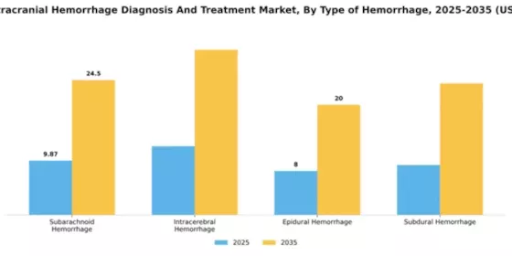 France Intracranial Hemmorhage Diagnosis Treatment Market Segment Image 2