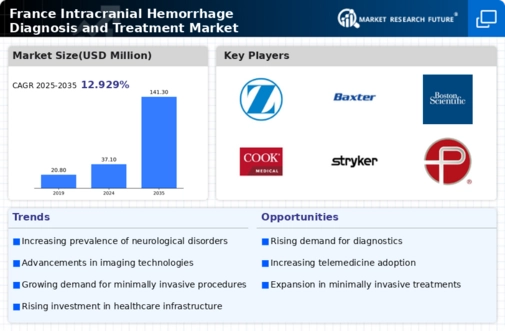 France Intracranial Hemmorhage Diagnosis Treatment Market Infographic