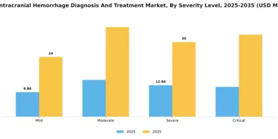 GCC Intracranial Hemmorhage Diagnosis Treatment Market Segment Image 2
