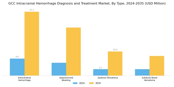 GCC Intracranial Hemmorhage Diagnosis Treatment Market Segment Image 0