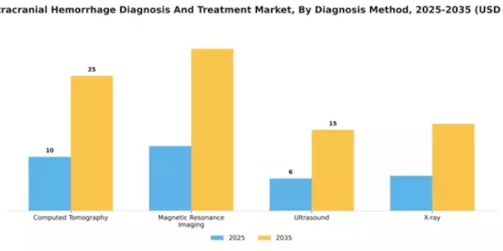 Italy Intracranial Hemmorhage Diagnosis Treatment Market Segment Image 0