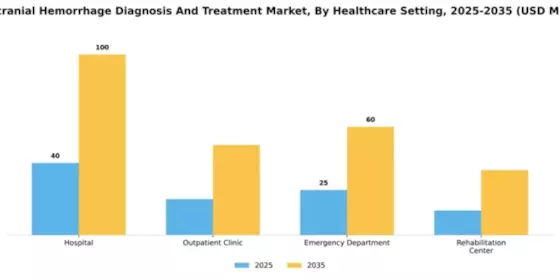 South America Intracranial Hemmorhage Diagnosis Treatment Market Segment Image 1