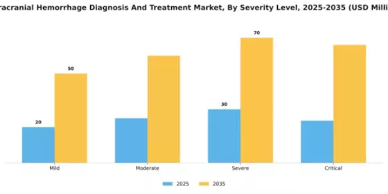South America Intracranial Hemmorhage Diagnosis Treatment Market Segment Image 3