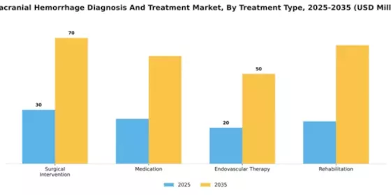 South America Intracranial Hemmorhage Diagnosis Treatment Market Segment Image 4