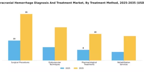 India Intracranial Hemmorhage Diagnosis Treatment Market Segment Image 1
