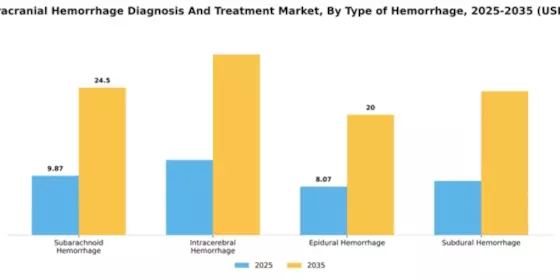 India Intracranial Hemmorhage Diagnosis Treatment Market Segment Image 2