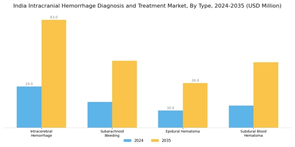India Intracranial Hemmorhage Diagnosis Treatment Market Segment Image 0