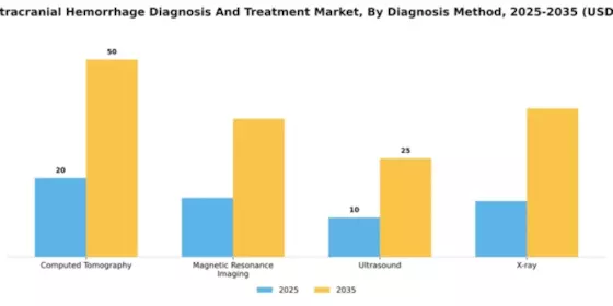 China Intracranial Hemmorhage Diagnosis Treatment Market Segment Image 0